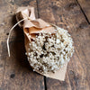 Natural Dried Star Flower