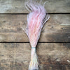 Stipa Pennata Fluffy Grass - Coral/Pink