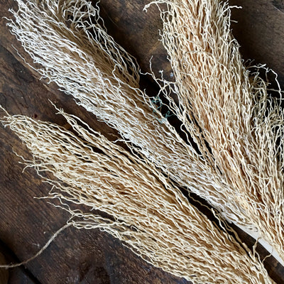Dried Palm Twizzles - White/Natural