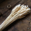Dried Wheat Bunch - White