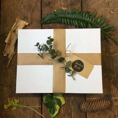 Fern Kokedama & Botanical Mister Gift Box