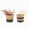 Natural & Black Seagrass Basket/Planter Set