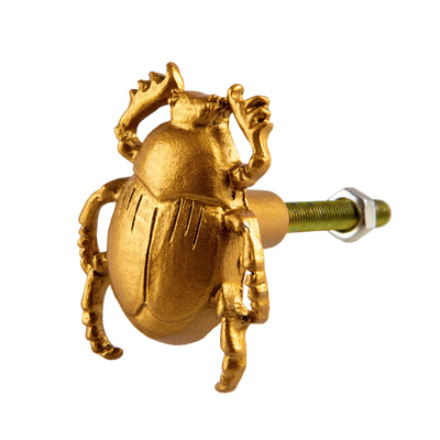 Golden Beetle Drawer Knob