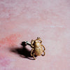 Golden Beetle Drawer Knob