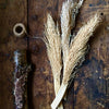 Dried Palm Twizzles - White/Natural