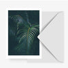 Jungle Palm Card