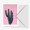 Pink Cactus Card