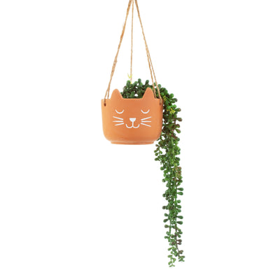 Cat Terracotta Hanging Planter