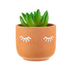 Eyelash Mini Terracotta Planter