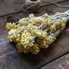 Dried Gold Immortelle Bunch