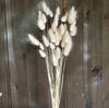 Bunny Tails Grass - White