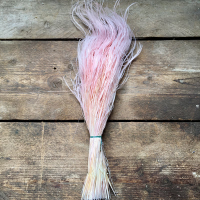 Stipa Pennata Fluffy Grass - Coral/Pink