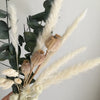 Pampas & Eucalyptus Letterbox Bouquet