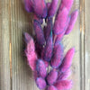 Bunny Tails Grass - Purple Flame