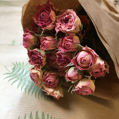 Dried Roses Pink