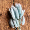 Bunny Tails Grass - Pale Blue