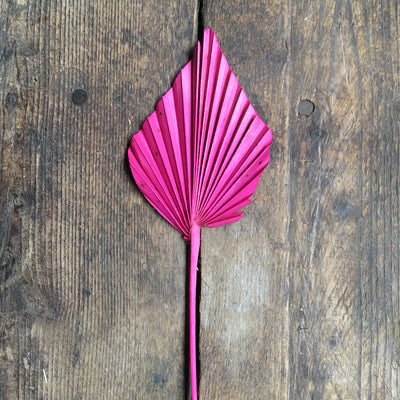 Dried Palm Spear - Hot Pink Stem