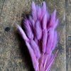 Bunny Tails Grass - Vintage Lilac